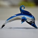 Beautiful dolphin