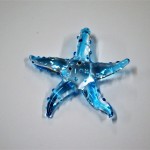 Glass Starfish