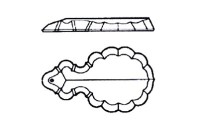 Almonds, or flat pendeloques (the type and color of the crystal pendants can be changed upon request).